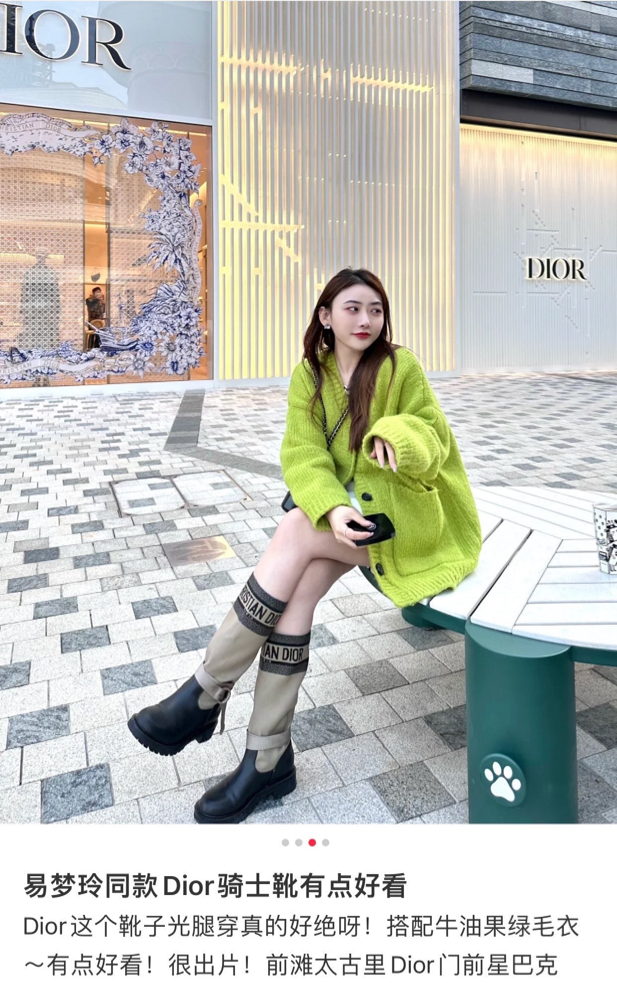 콜라 / 디올 부츠