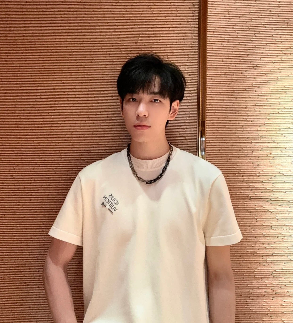 TJ / 루이비통 로고 반팔티 , 𝗟𝗢𝗨𝗜𝗦 𝗩𝗨𝗜𝗧𝗧𝗢𝗡 로고 반팔 티셔츠