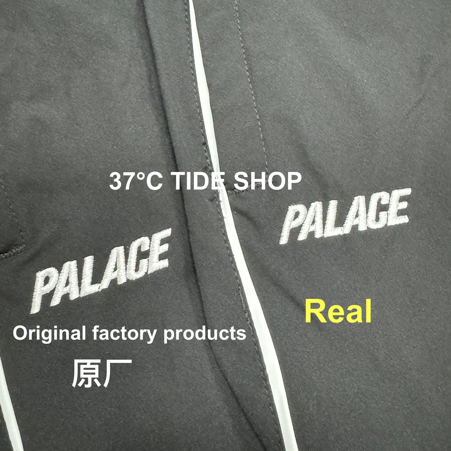 37도 / 팔라스 , P2455-PALACE PALAMAT SHELL JOGGER