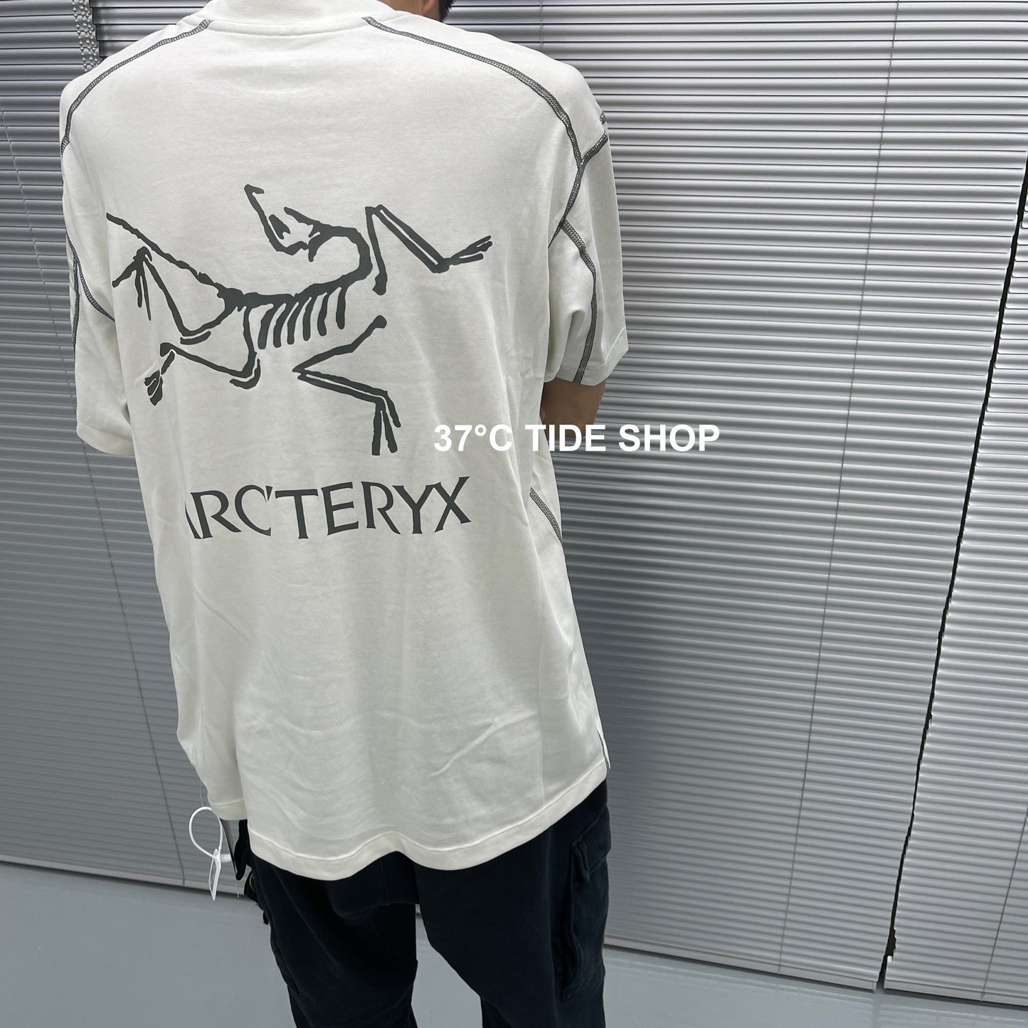 37도 / 아크테릭스 반팔티 , ARCTERYX코팔버드 티셔츠