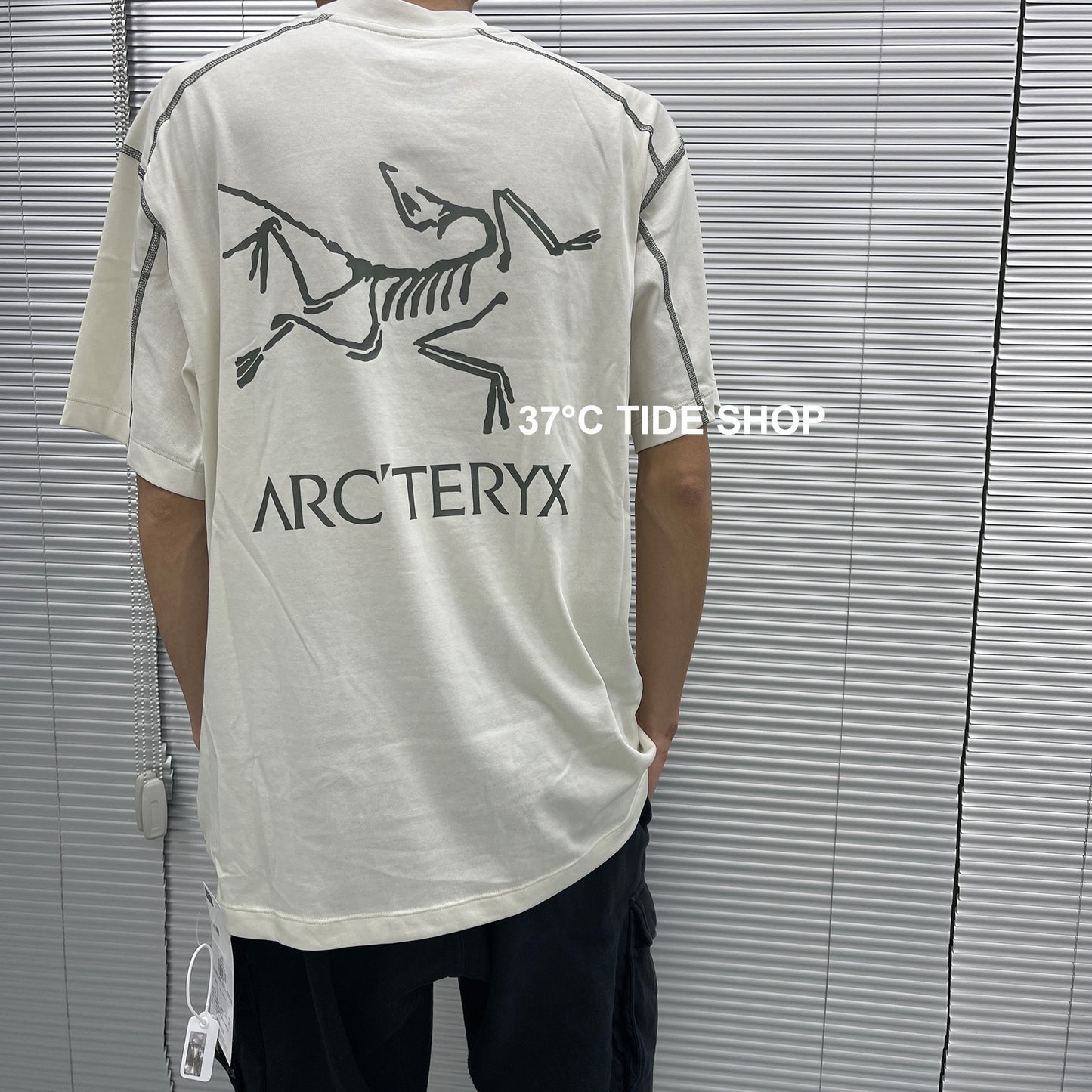 37도 / 아크테릭스 반팔티 , ARCTERYX코팔버드 티셔츠