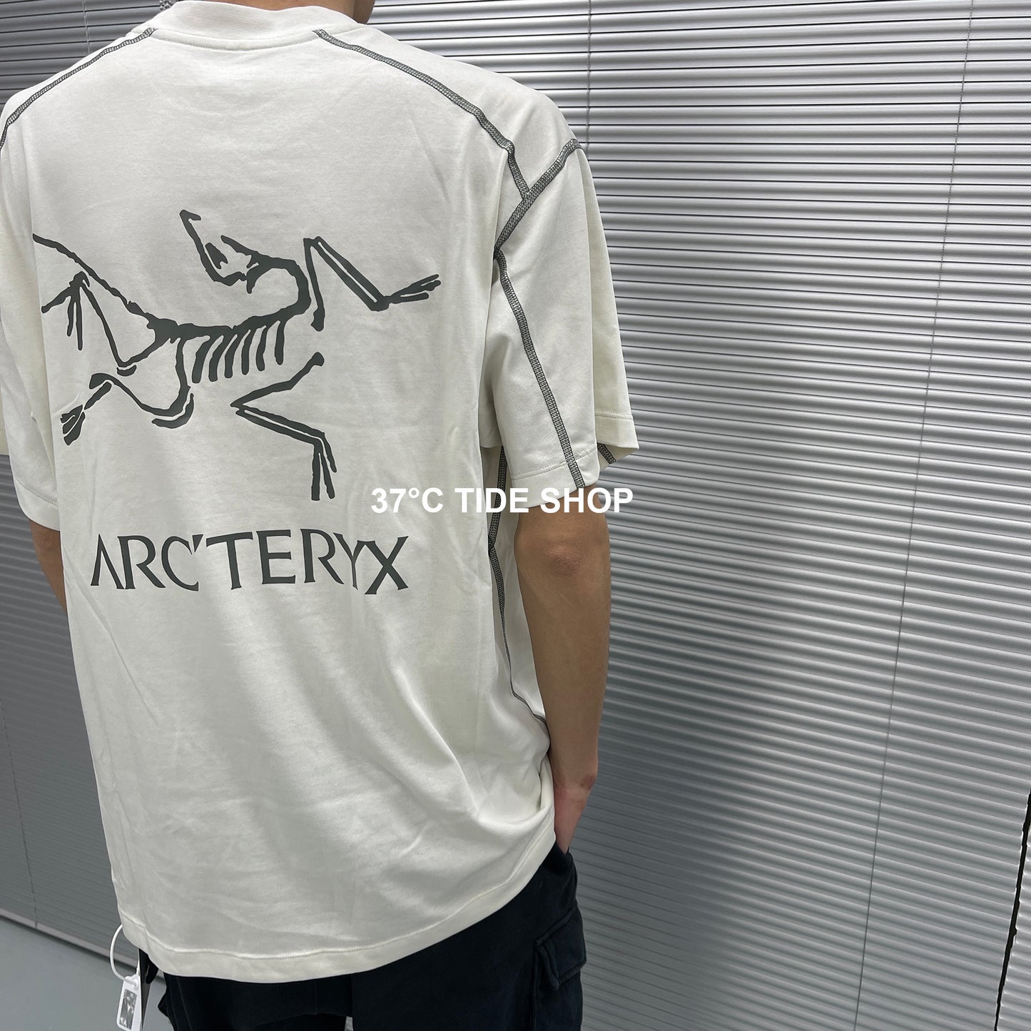 37도 / 아크테릭스 반팔티 , ARCTERYX코팔버드 티셔츠