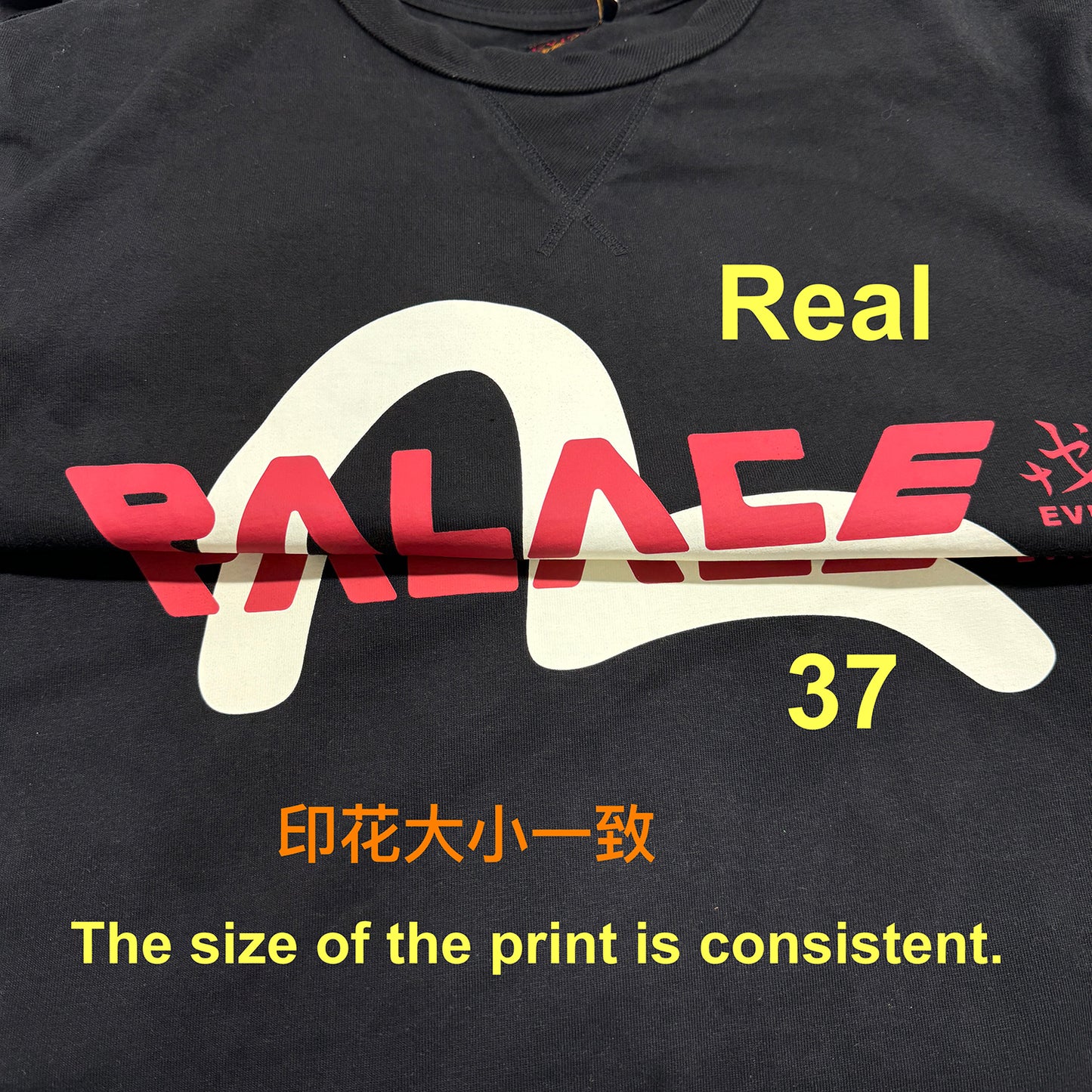 37도 / PALACE EVISU T-SHIRT