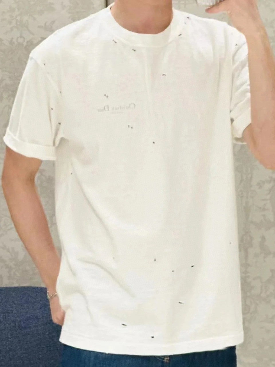 체인2호 / 디올 남성 반팔 티셔츠