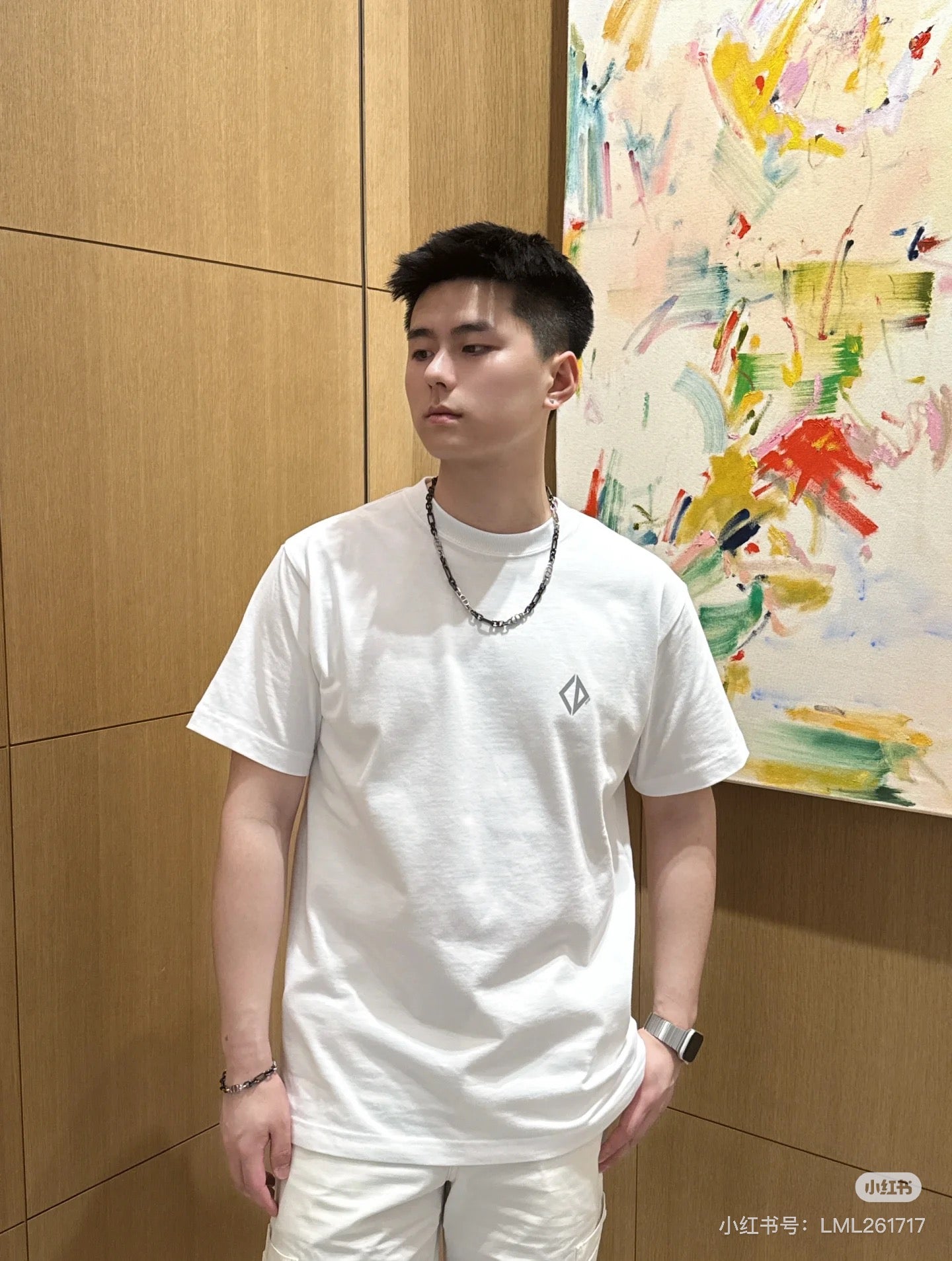 체인2호 / 디올 남성 반팔 티셔츠