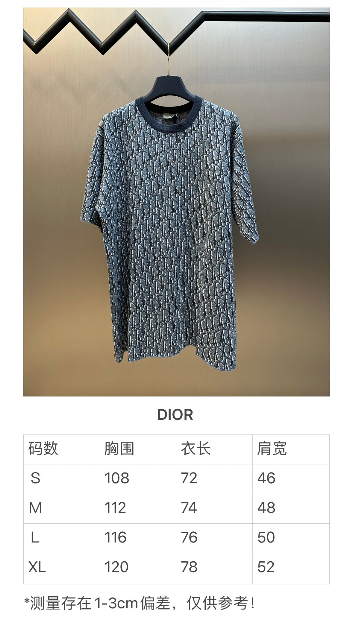 체인2호 / 디올 남성 반팔