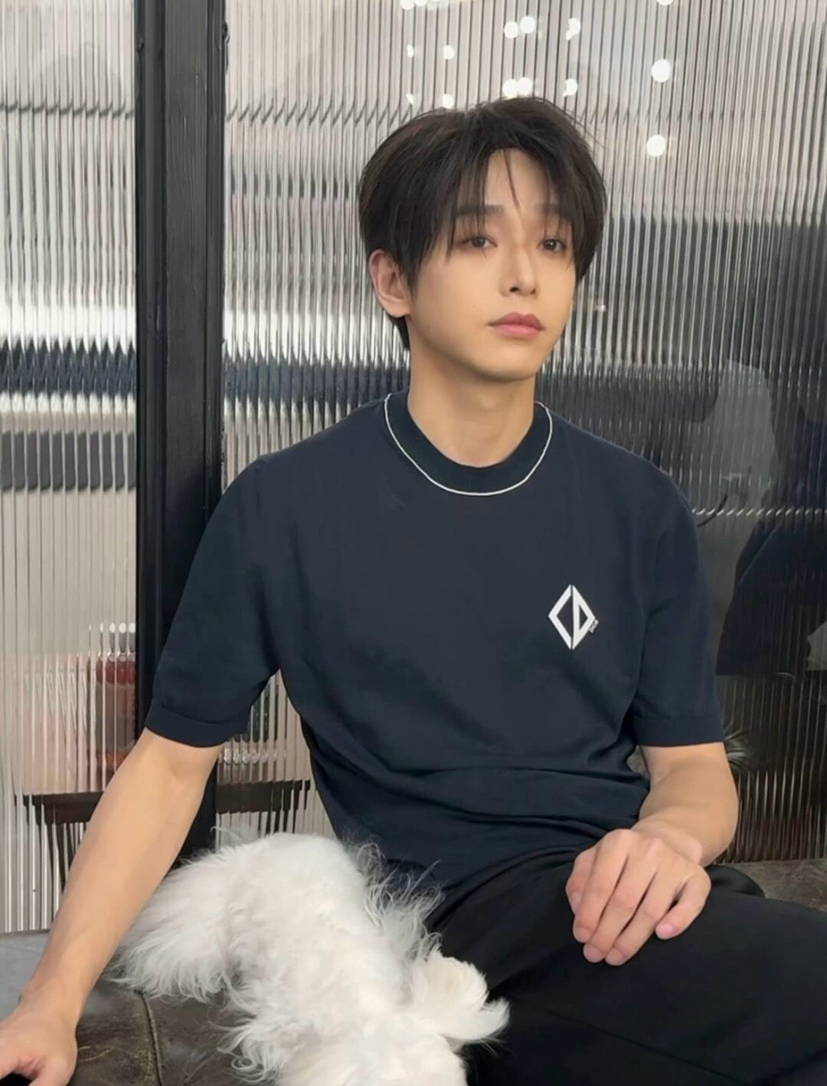사슬 / 디올 남성 캐주얼 라운드 반팔 티셔츠