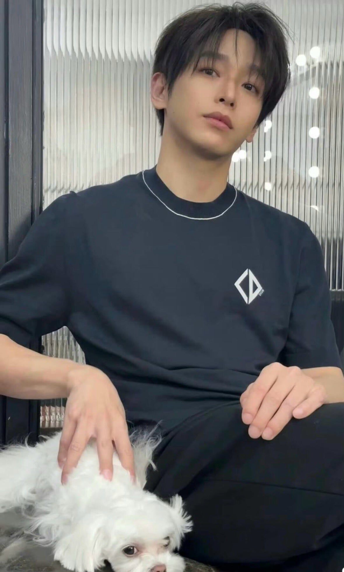 사슬 / 디올 남성 캐주얼 라운드 반팔 티셔츠
