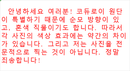 탑폴로 / 폴로 바라쿠타 자켓 ,  황갈색 코듀로이 남성 재킷
