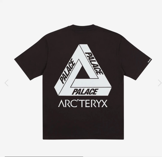 탑팔라스 / 팔라스 아크테릭스 콜라보 반팔티 , Palace x Arc'teryx