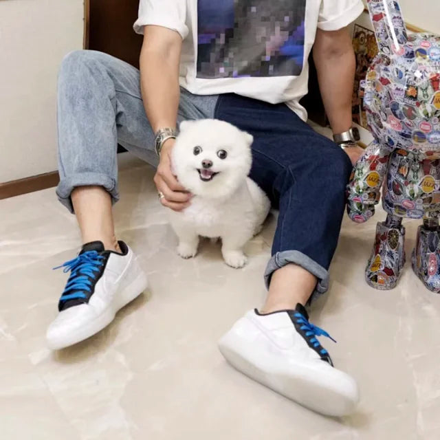 zok/ 나이키 남성 운동화