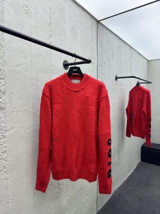 체인2호/디올 공룡 모직 스웨터