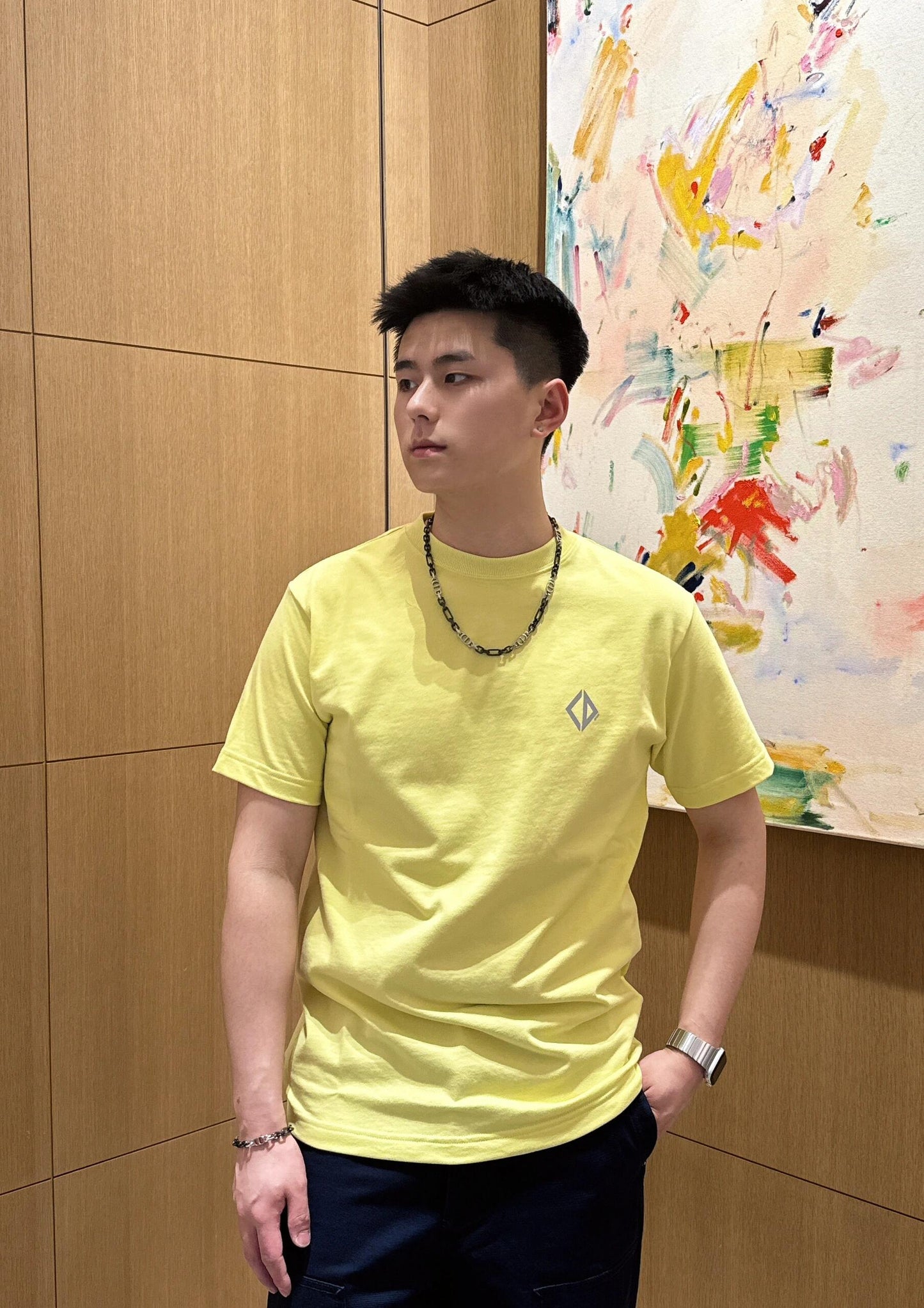 BVG / 디올 남성 반팔 티셔츠