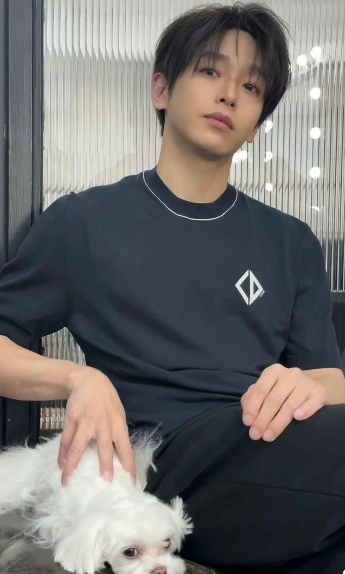 GTR / 디올 남성 니트 반팔