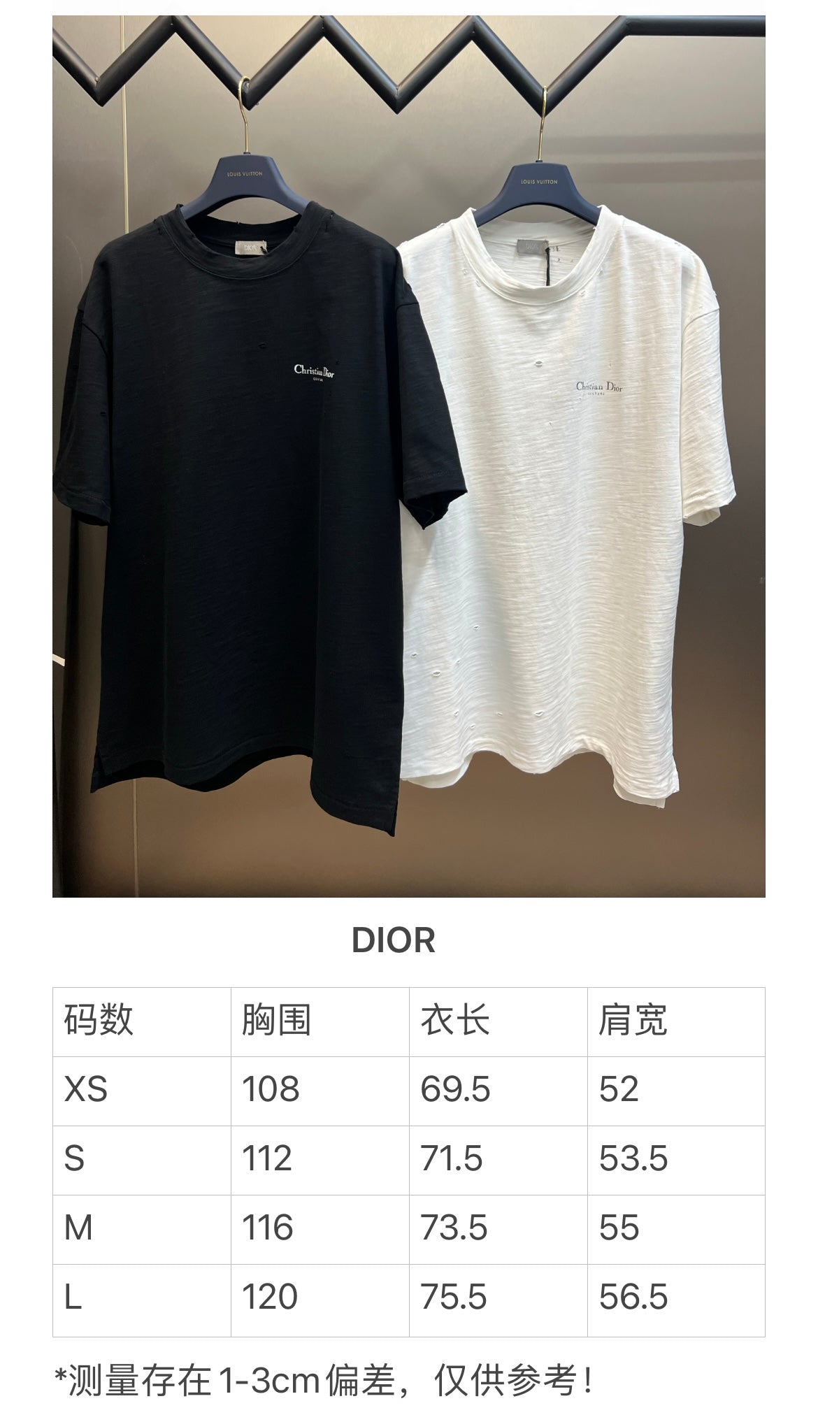 체인2호 / 디올 남성 여성 프린팅 반팔
