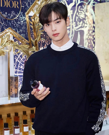 BVG / 디올 남성 니트